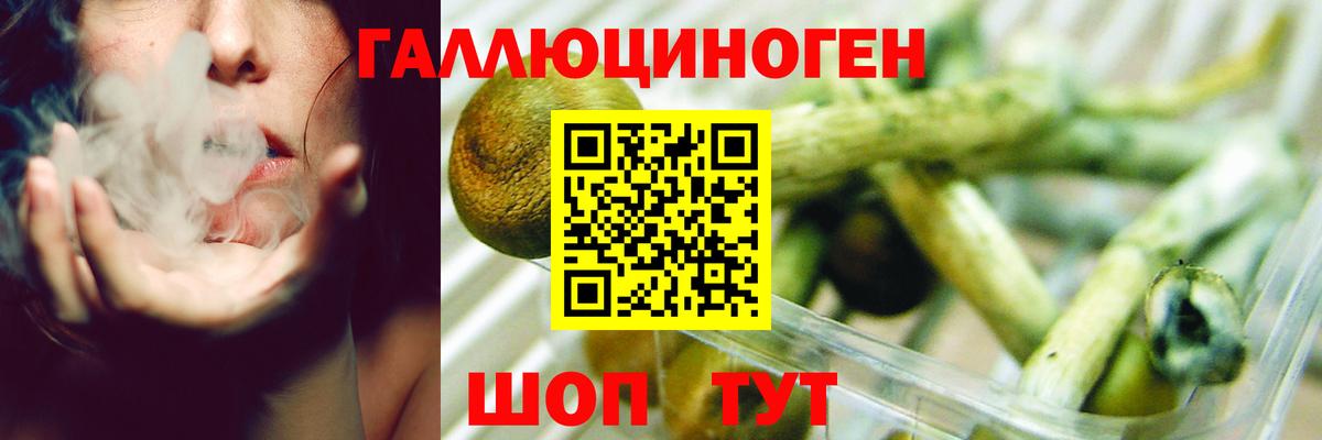 Псилоцибиновые грибы ЛСД Хасавюрт